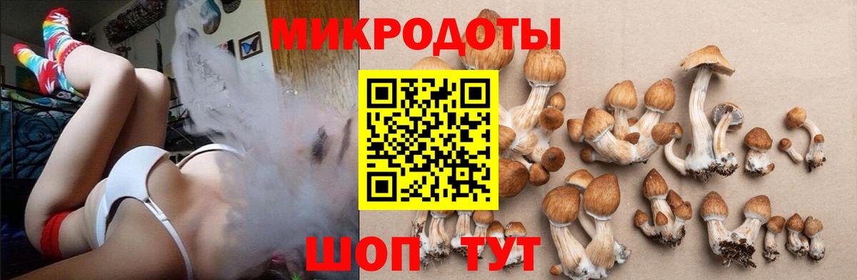 Галлюциногенные грибы мицелий  Вход с VPN  Новотроицк 